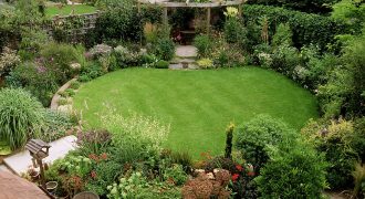 Two Thriving Thurston County Lawn and Garden Stores